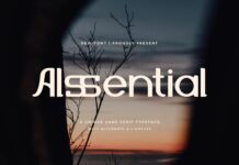 Alssential Font Poster 1