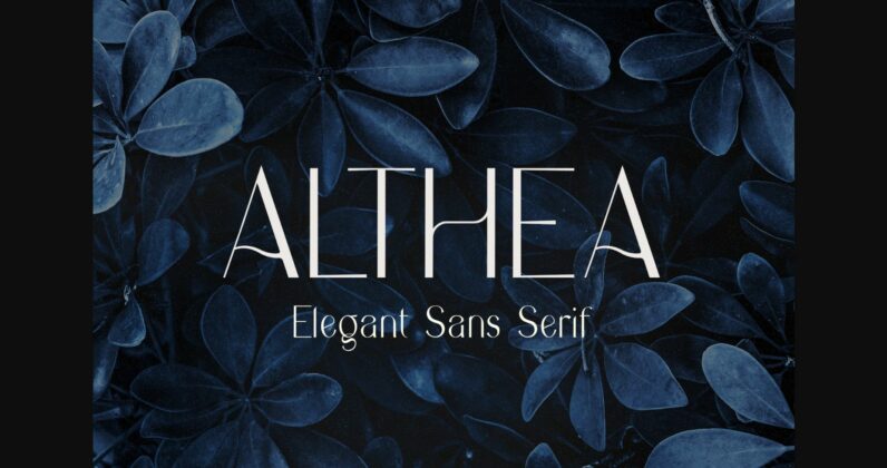 Althea Font Poster 3