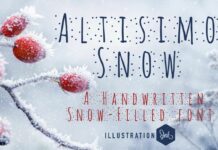 Altisimo Snow Font Poster 1