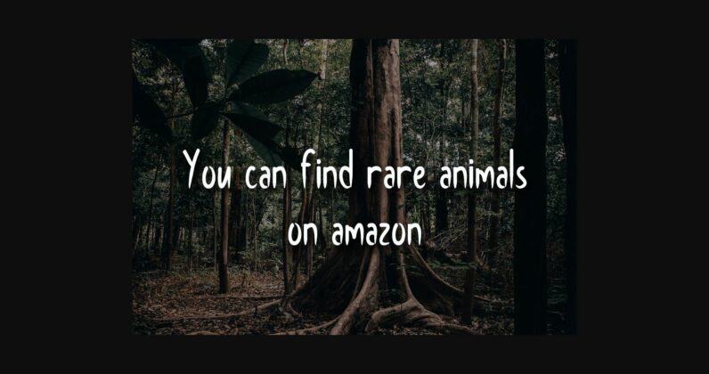 Amazon Font Poster 4