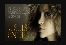 Ambassador Font Ambassador Font Poster 1