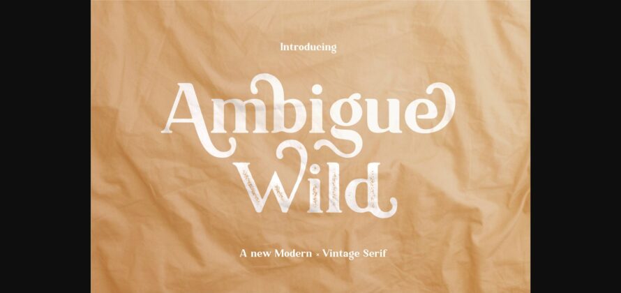 Ambigue Wild Font Poster 3