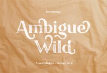 Ambigue Wild Font Poster 1