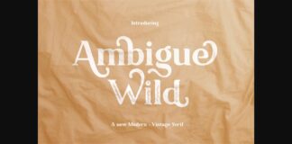 Ambigue Wild Font Poster 1