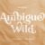 Ambigue Wild Font