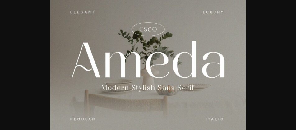 Ameda Font Poster 3