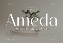 Ameda Font Poster 1