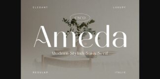 Ameda Font Poster 1