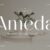Ameda Font