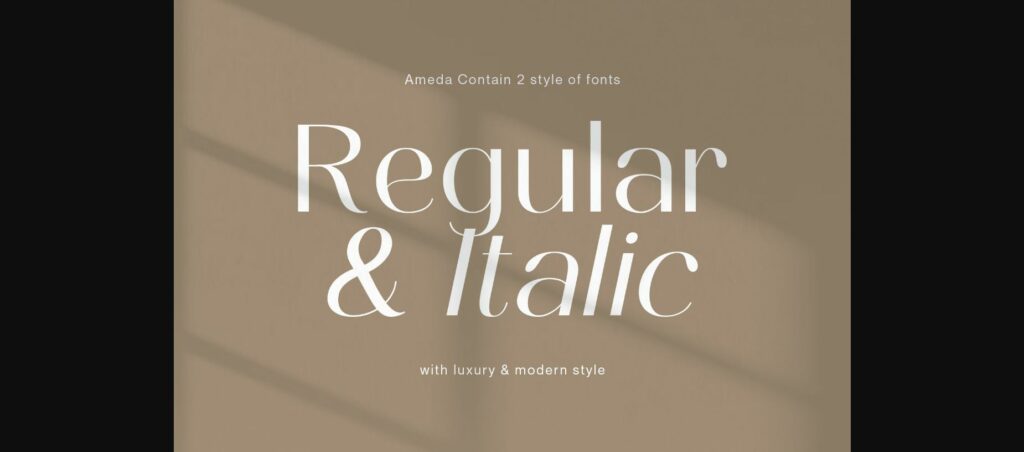 Ameda Font Poster 6