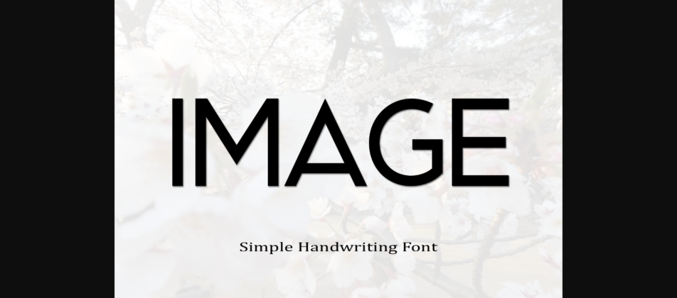 Amega Font Poster 6