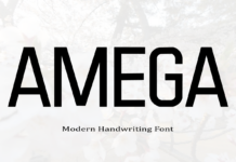 Amega Font Poster 1