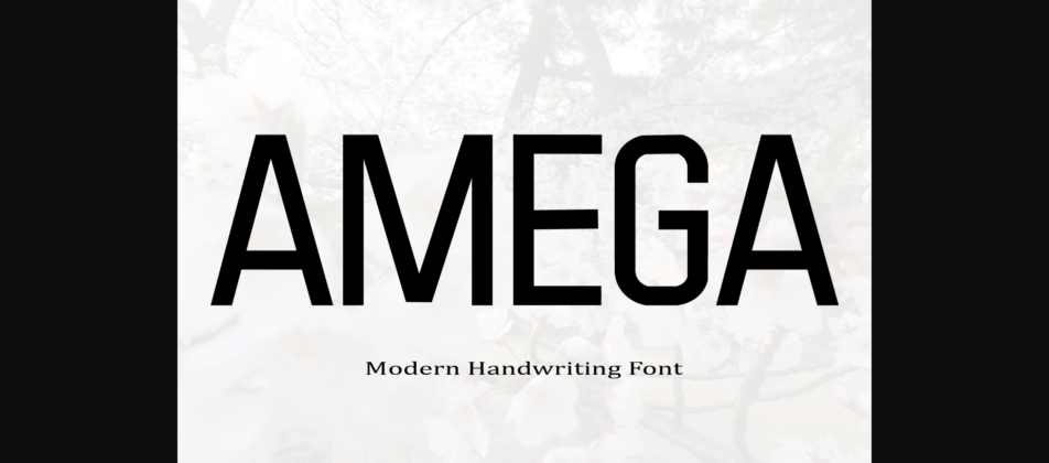 Amega Font Poster 1