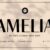 Amelia Font