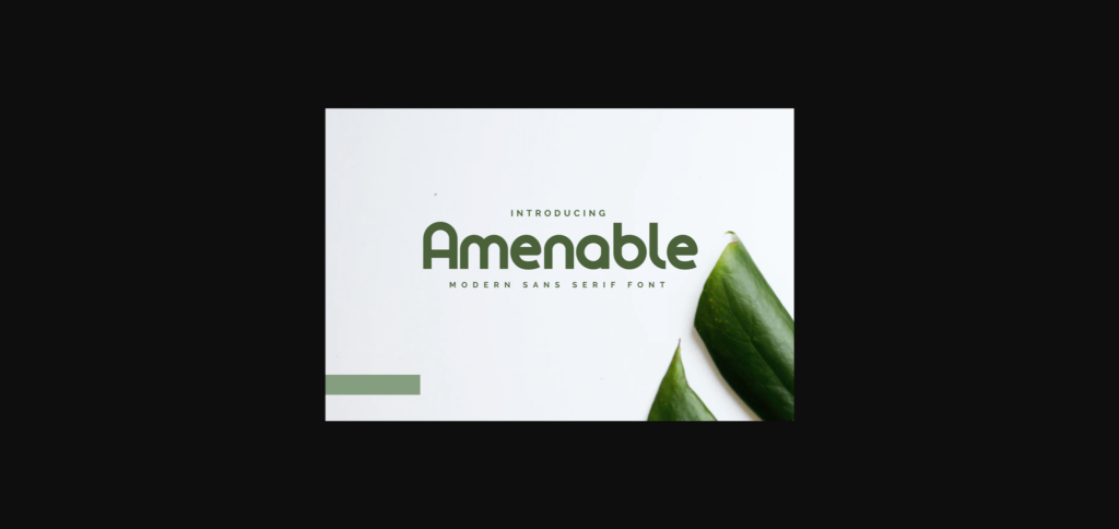 Amenable Font Poster 3