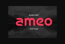 Ameo Font Poster 1