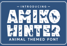 Amiko Winter Font Poster 1