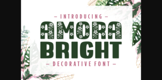 Amora Bright Font Poster 1
