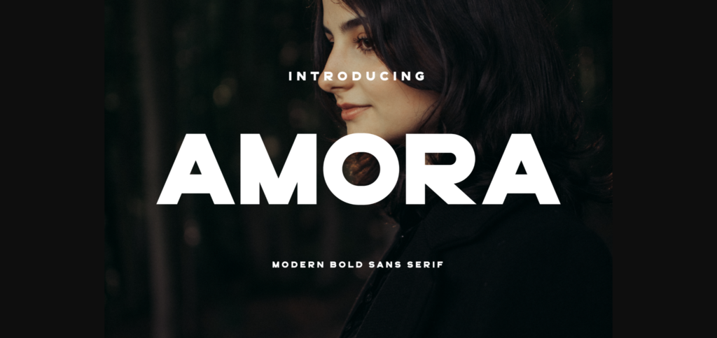 Amora Font Poster 3