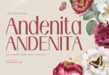 Andenita Font Poster 1