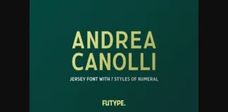 Andrea Canolli Font Poster 1