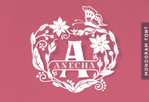 Anecha Font Poster 1