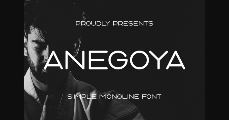 Anegoya Font Poster 3