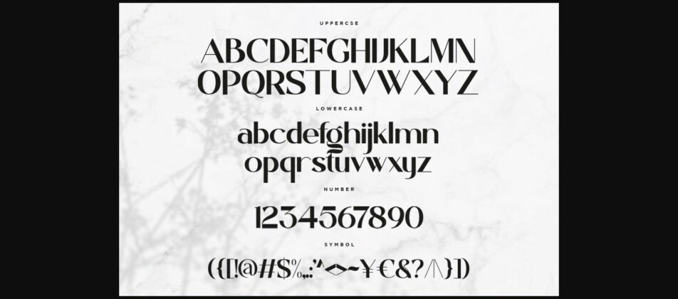 Anegra Font Poster 10