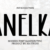 Anelka Font