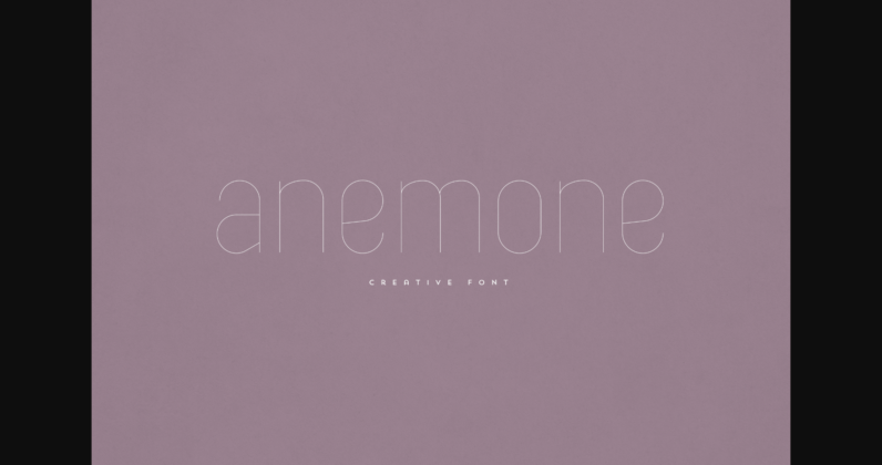 Anemone Font Poster 3