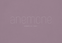 Anemone Font Poster 1