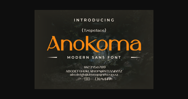 Anokoma Font Poster 3