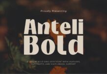 Anteli Bold Font Poster 1