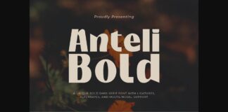 Anteli Bold Font Poster 1