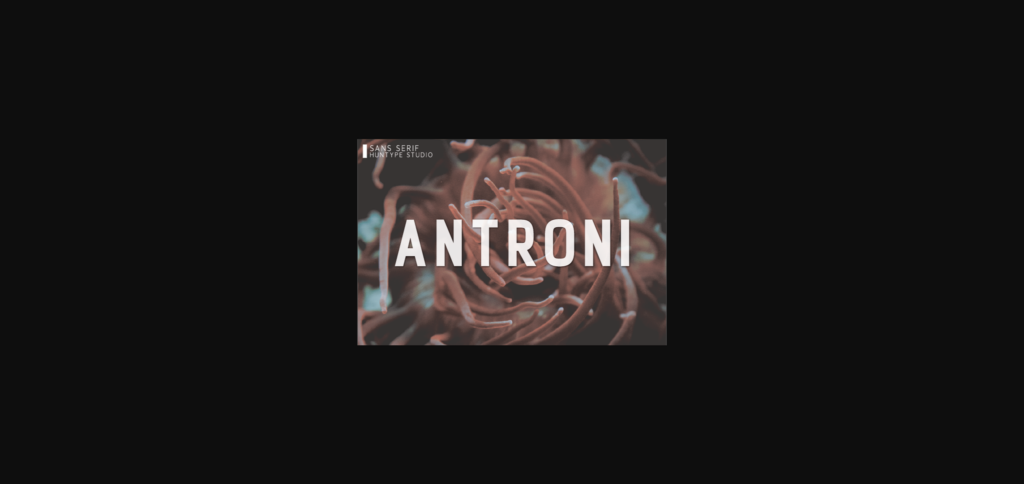 Antroni Font Poster 3