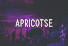 Apricotse Font Poster 1