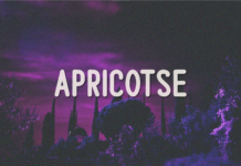 Apricotse Font Apricotse Font Poster 1