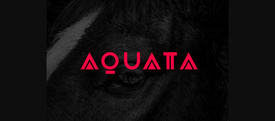 Aquata Font Poster 3