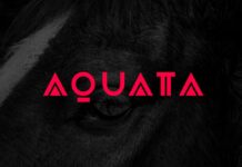 Aquata Font Poster 1