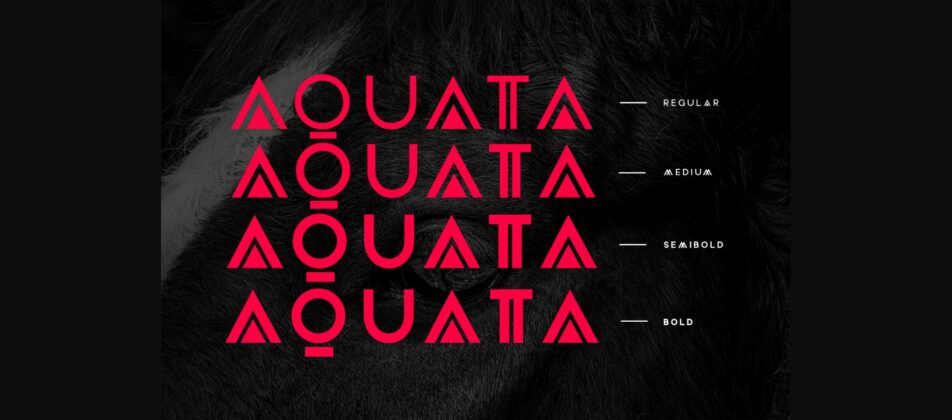 Aquata Font Poster 2