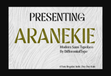 Aranekie Font Poster 1