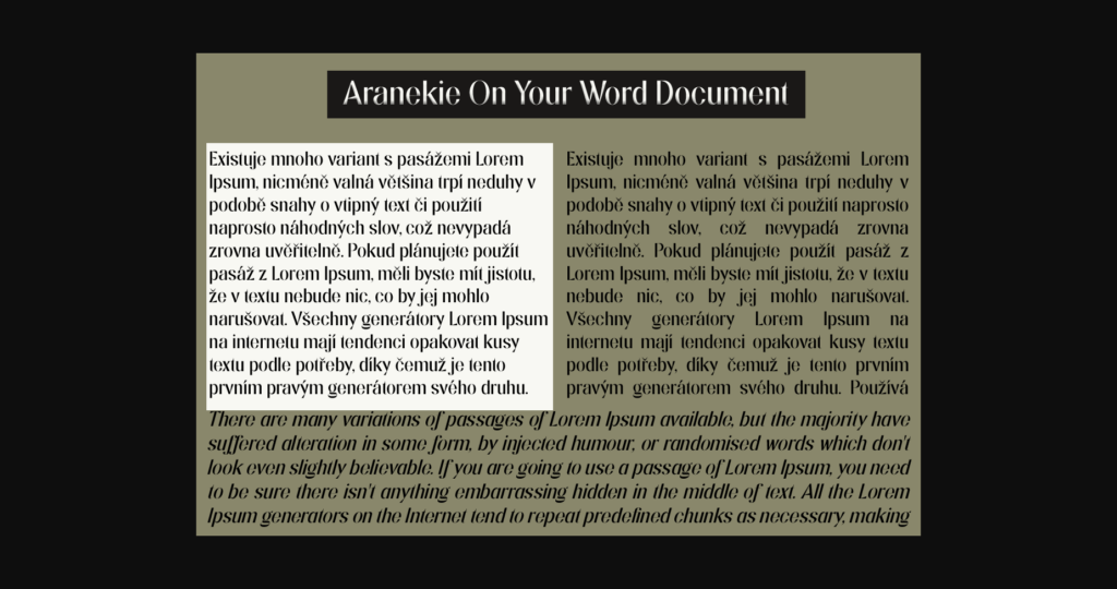 Aranekie Font Poster 9