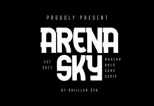 Arena Sky Arena Sky Fonts