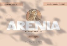 Arenia Font Poster 1