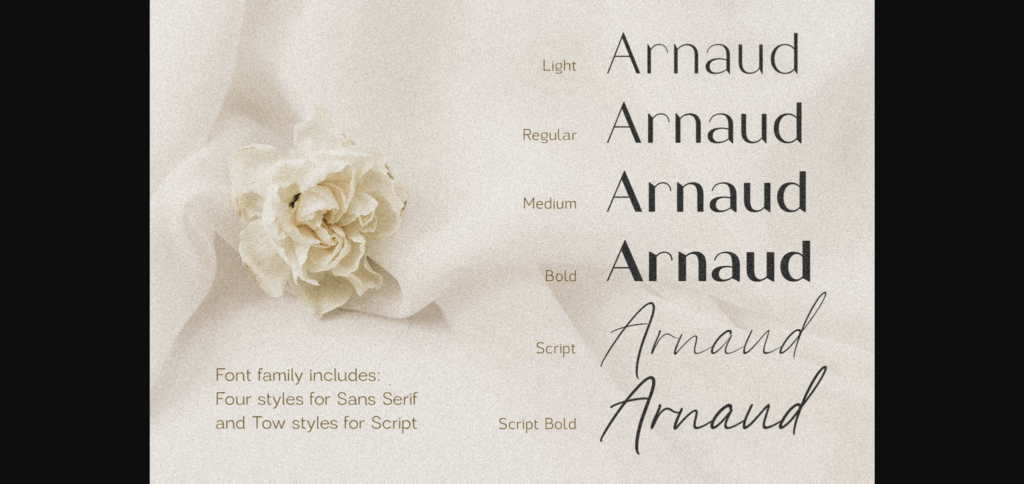 Arnaud Duo Font Poster 5