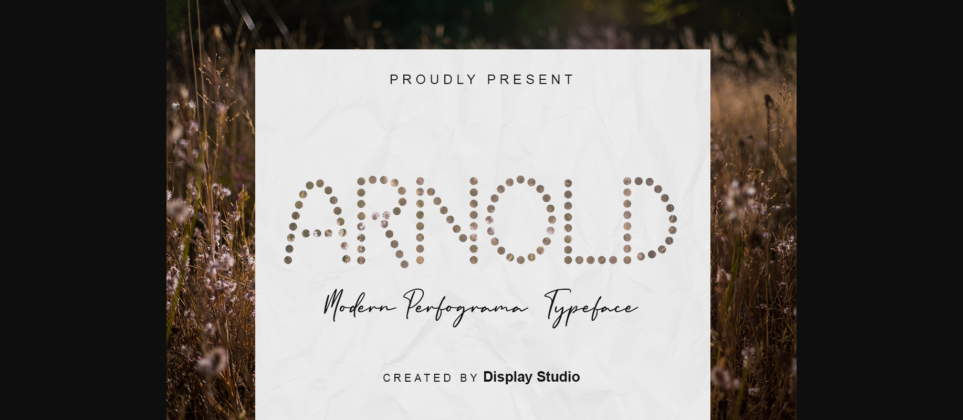 Arnold Font Poster 3