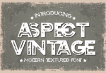 Aspect Vintage Font Poster 1