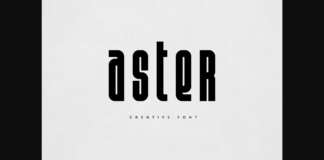 Aster Font Poster 1
