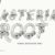 Asteria Root Font
