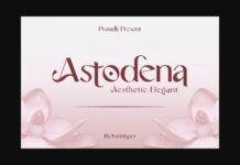 Astodena Font Poster 1